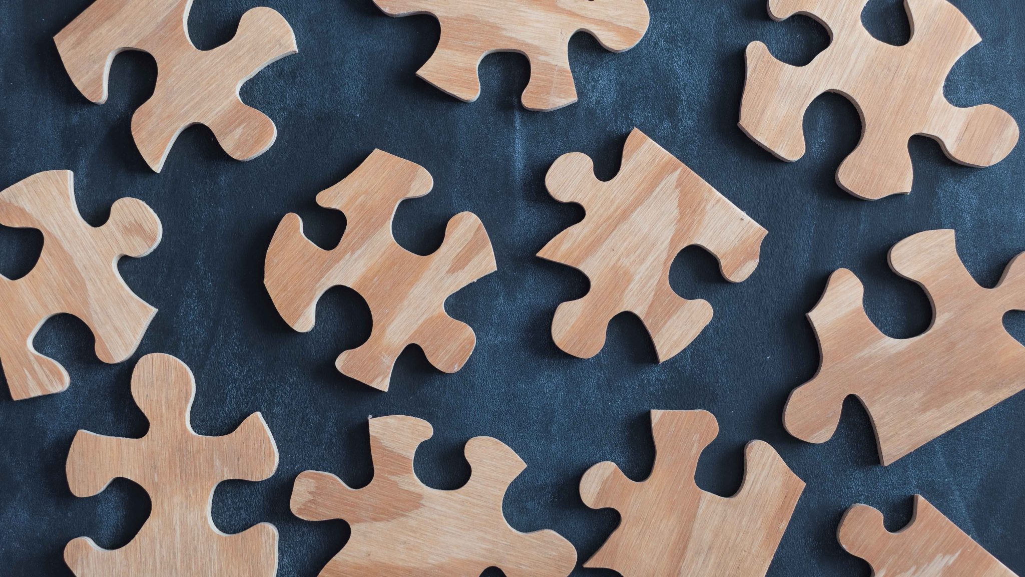 puisia palapelin palasia